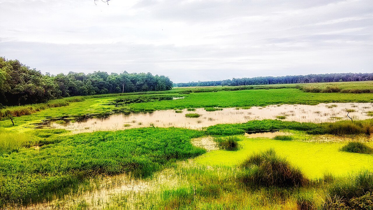 Shuklaphanta Buffer-Zone Eco-Tourism Trail